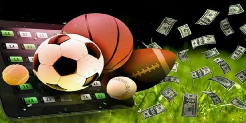 Giao diện cá cược Sbobet 007Win khoa học dễ sử dụng